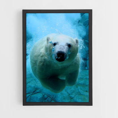 ap-polar bear-10 cadre Noir