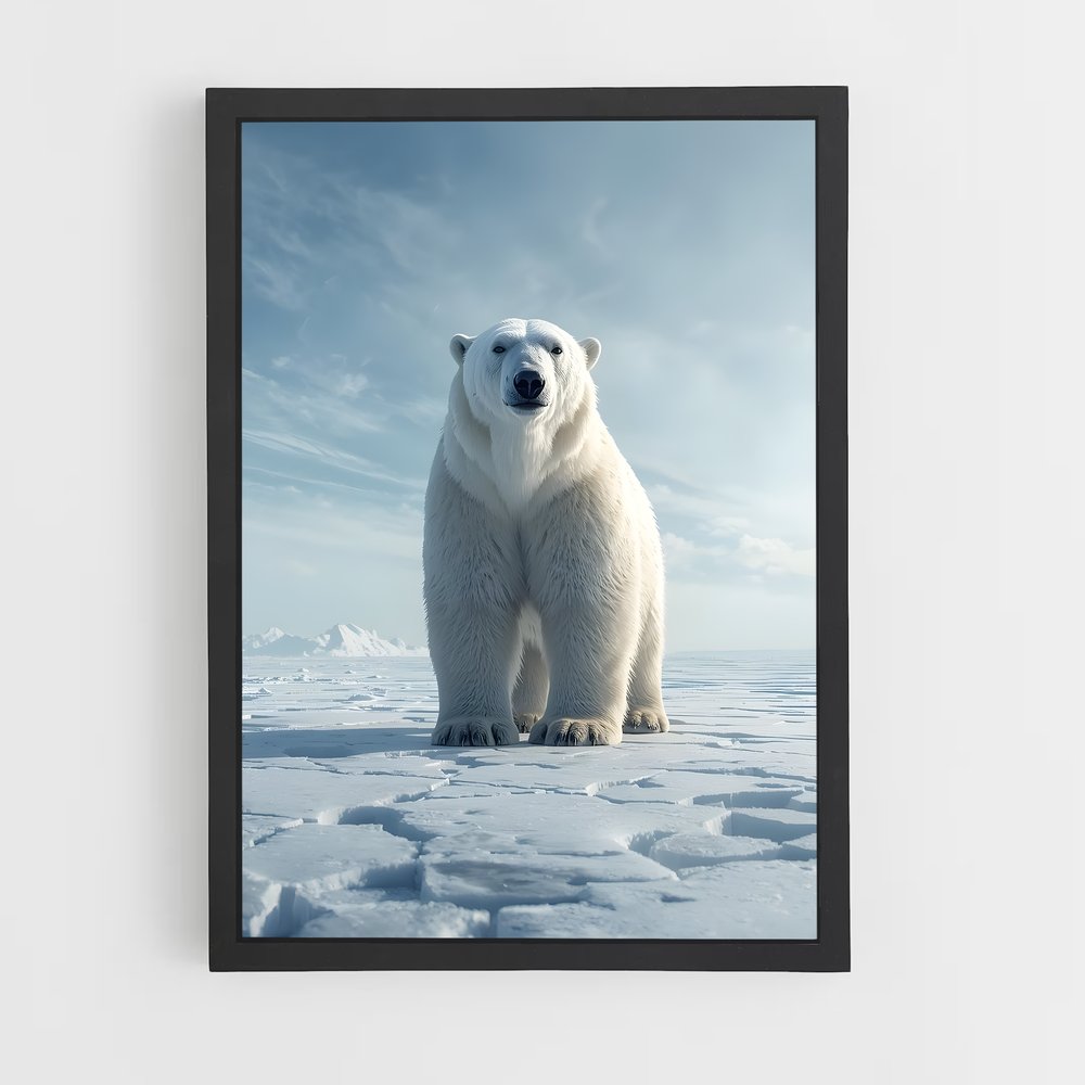 ap-polar bear-11 cadre Noir