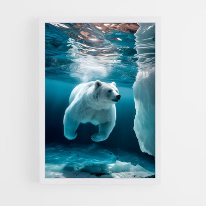 ap-polar bear-2 cadre Blanc
