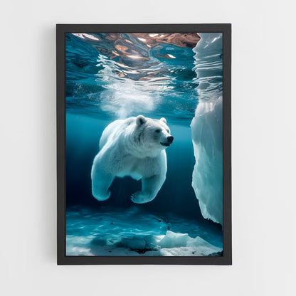 ap-polar bear-2 cadre Noir