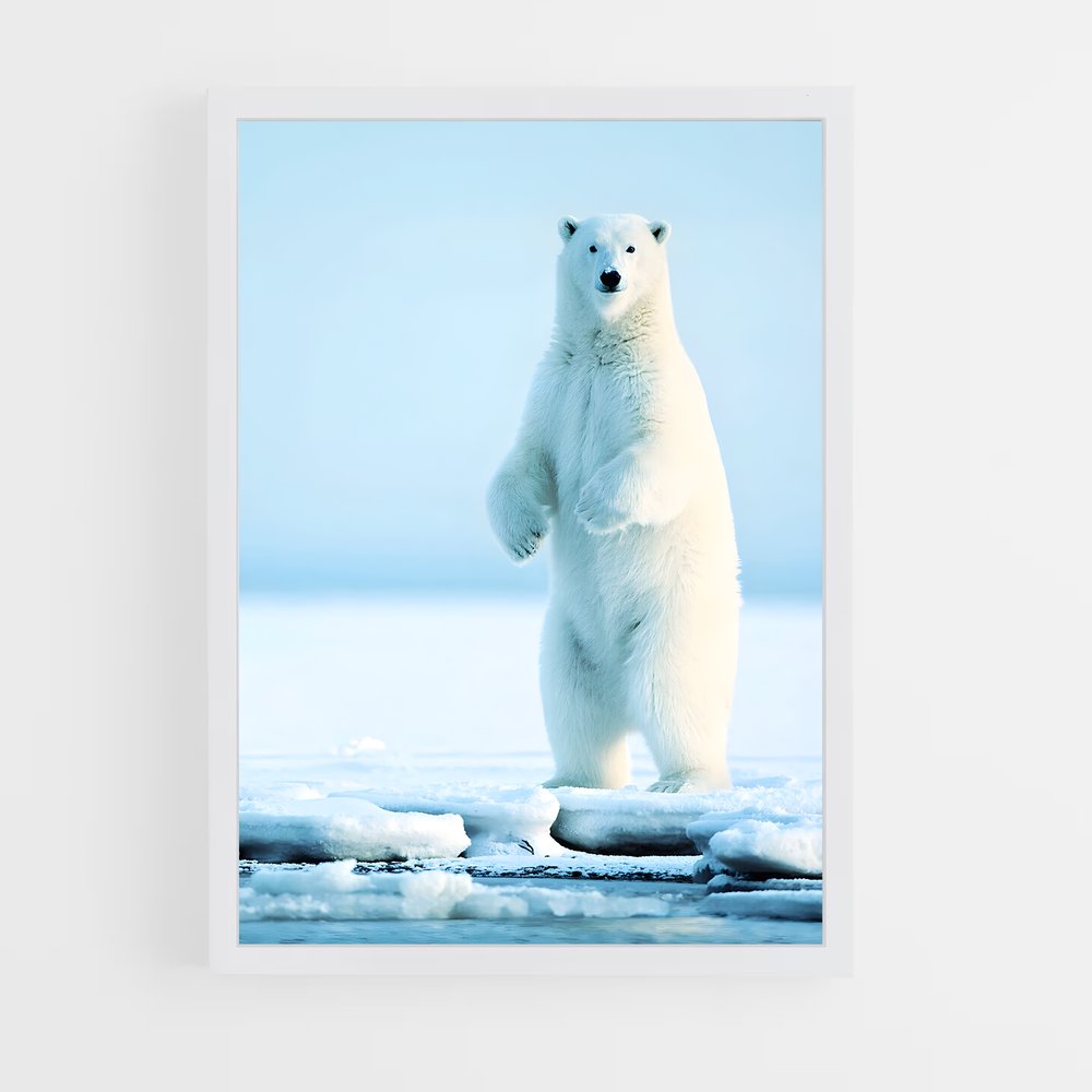 ap-polar bear-3 cadre Blanc