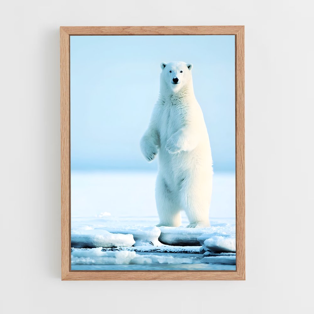 ap-polar bear-3 cadre Bois clair