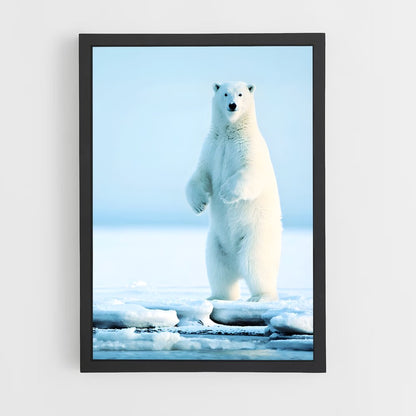 ap-polar bear-3 cadre Noir