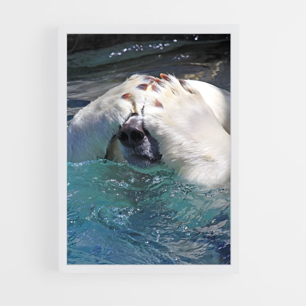 ap-polar bear-5 cadre Blanc