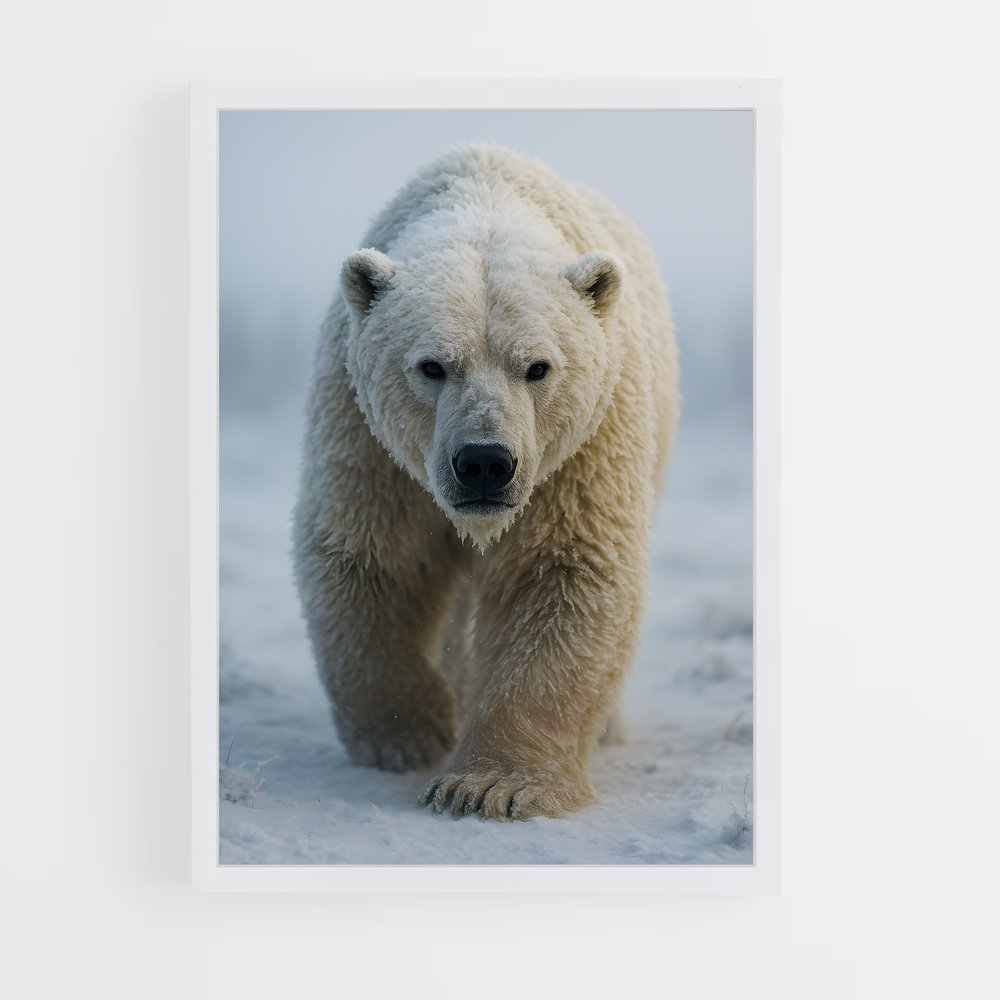 ap-polar bear-6 cadre Blanc