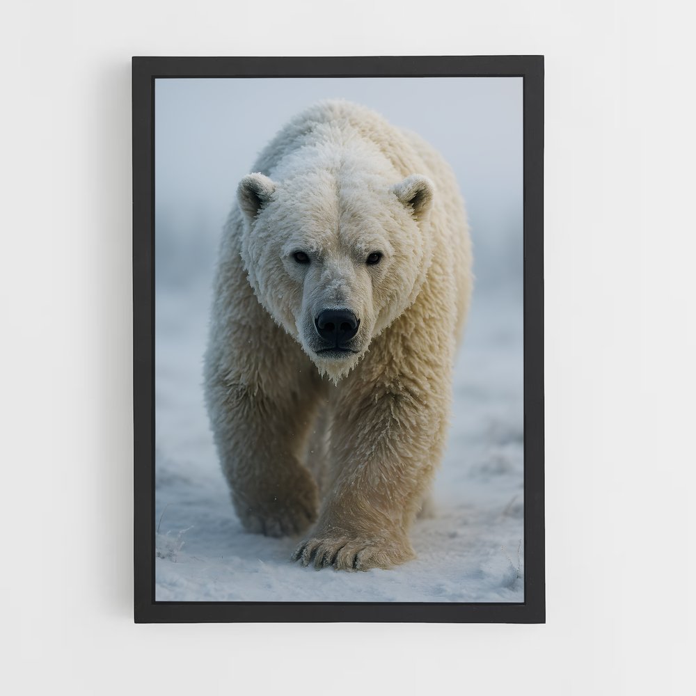 ap-polar bear-6 cadre Noir