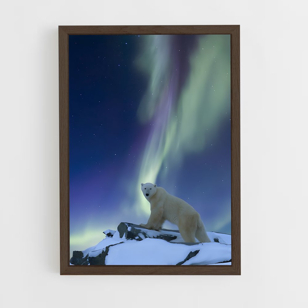 ap-polar bear-8 cadre Bois foncé