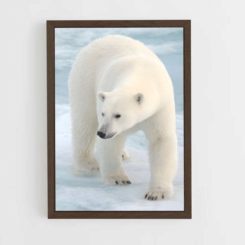 ap-polar bear-9 cadre Bois foncé