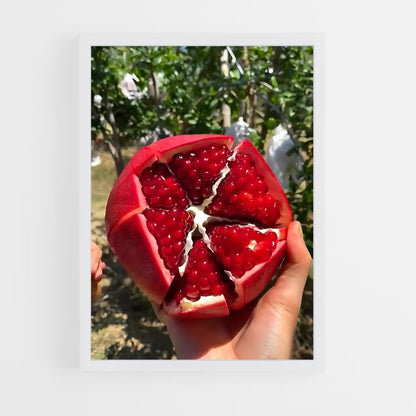 ap-pomegranate-8 cadre Blanc