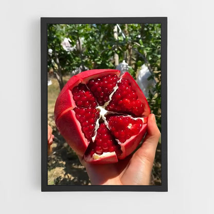 ap-pomegranate-8 cadre Noir