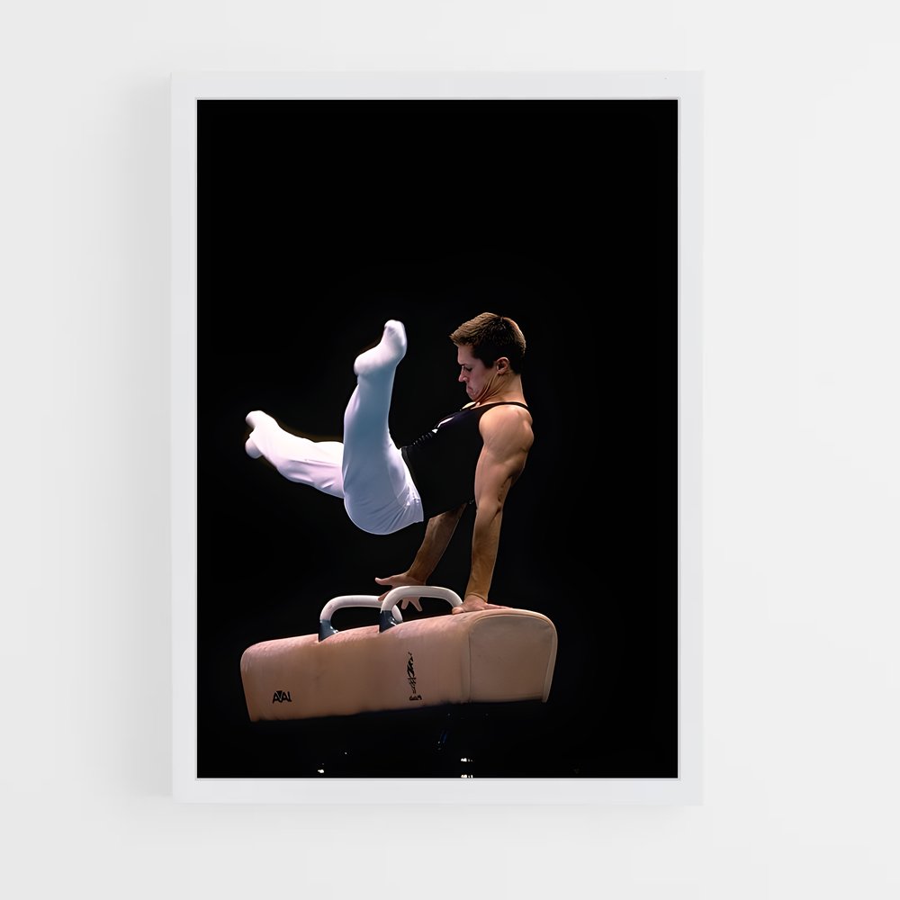 ap-pommel horse gymnastics-2 cadre Blanc