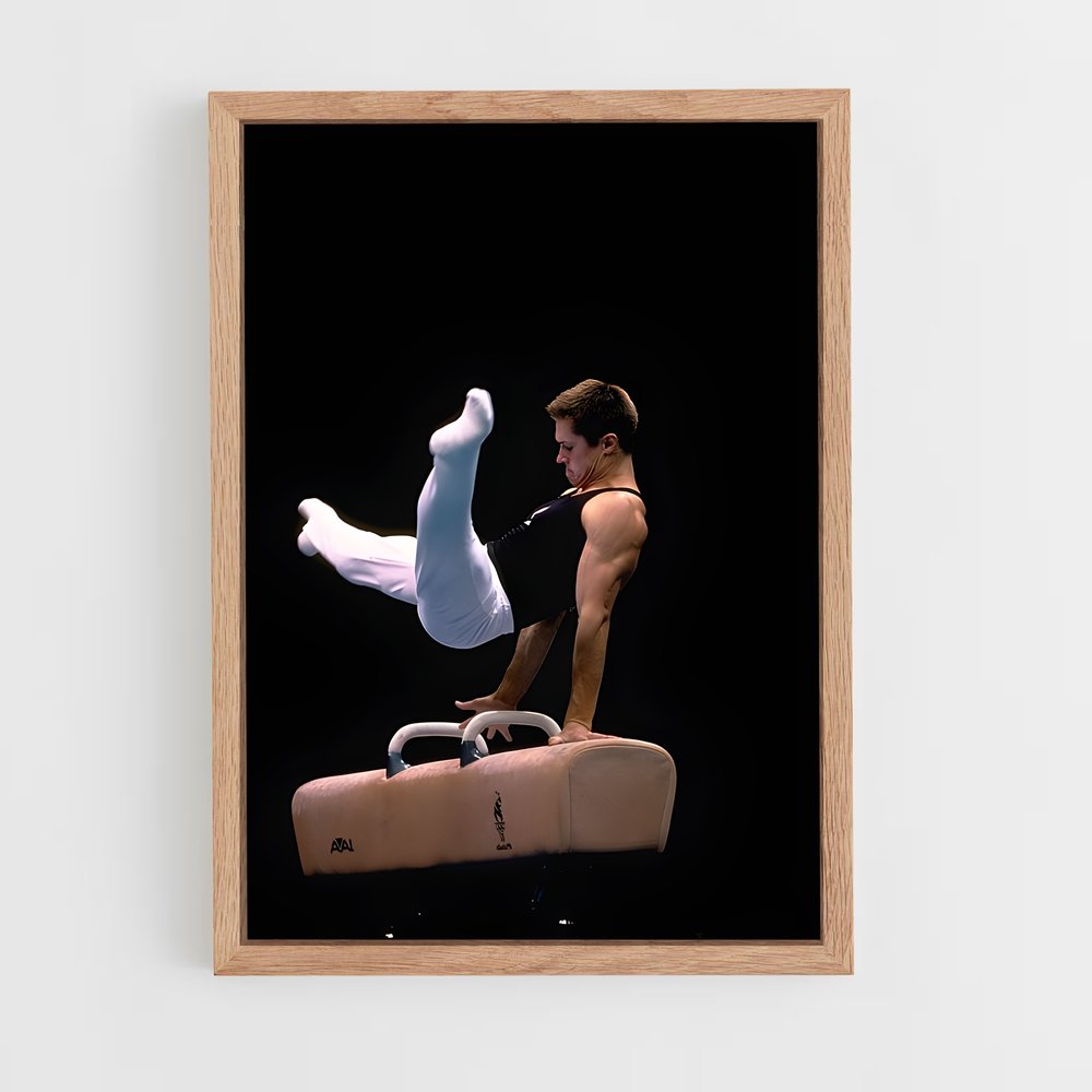 ap-pommel horse gymnastics-2 cadre Bois clair