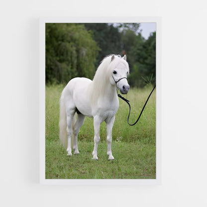 ap-pony-2 cadre Blanc