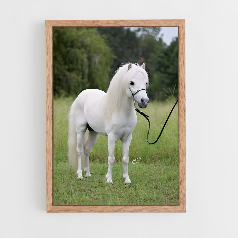 ap-pony-2 cadre Bois clair