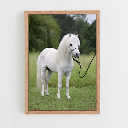 ap-pony-2 cadre Bois clair
