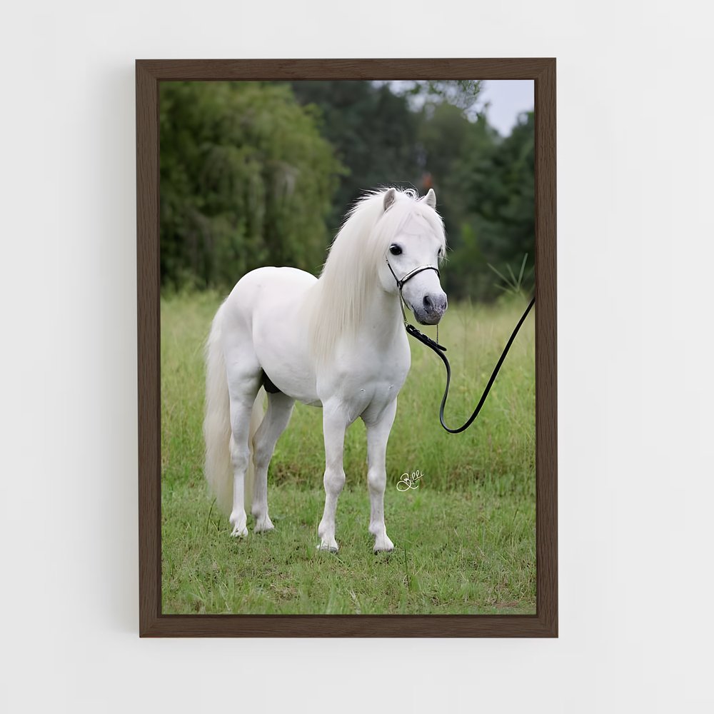 ap-pony-2 cadre Bois foncé