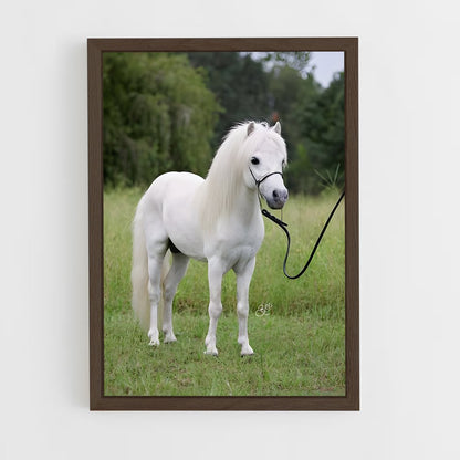ap-pony-2 cadre Bois foncé