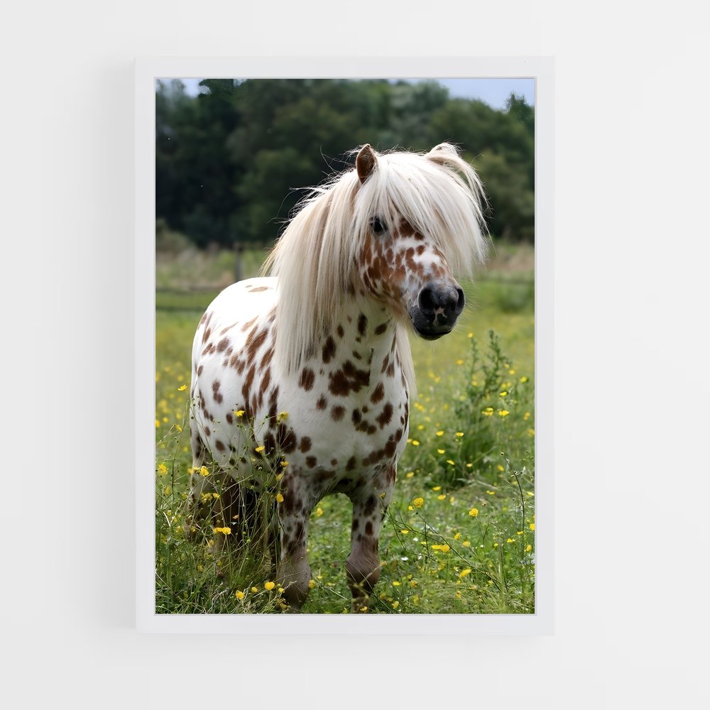 ap-pony-3 cadre Blanc