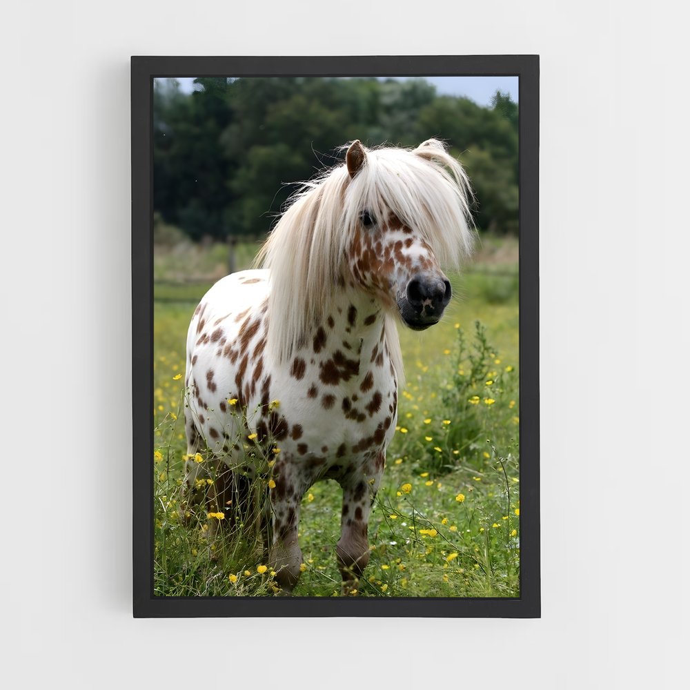 ap-pony-3 cadre Noir