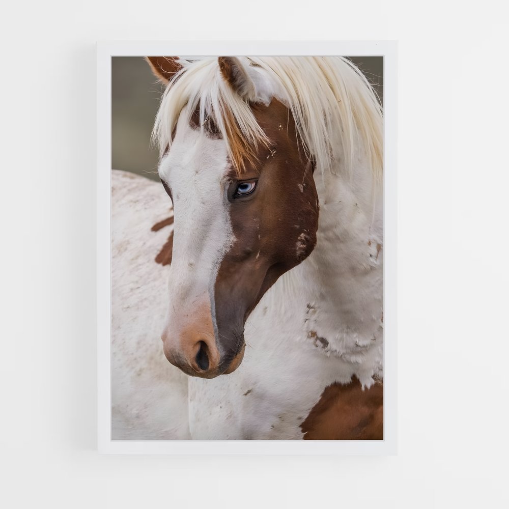 ap-pony-4 cadre Blanc