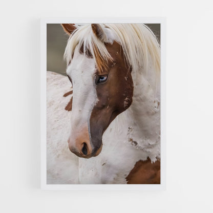 ap-pony-4 cadre Blanc