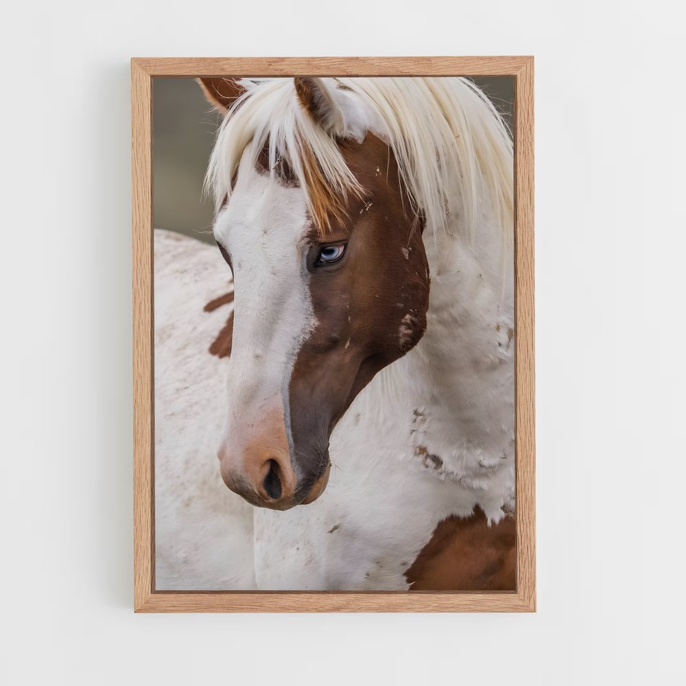 ap-pony-4 cadre Bois clair