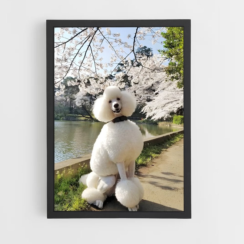 ap-poodle-2 cadre Noir