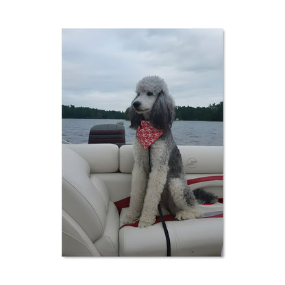 Poster Poodle à la Mer