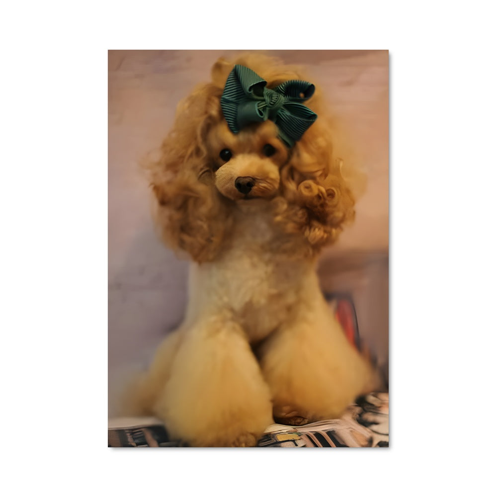 Poster Poodle Glamour