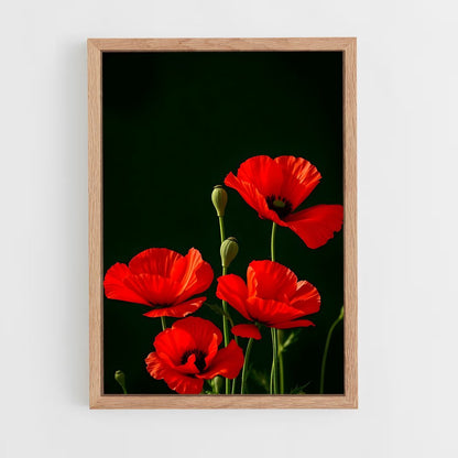 ap-poppy-11 cadre Bois clair