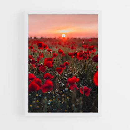 ap-poppy-13 cadre Blanc