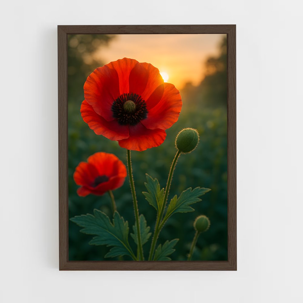 ap-poppy-8 cadre Bois foncé