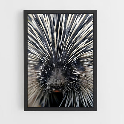 ap-porcupine-1 cadre Noir