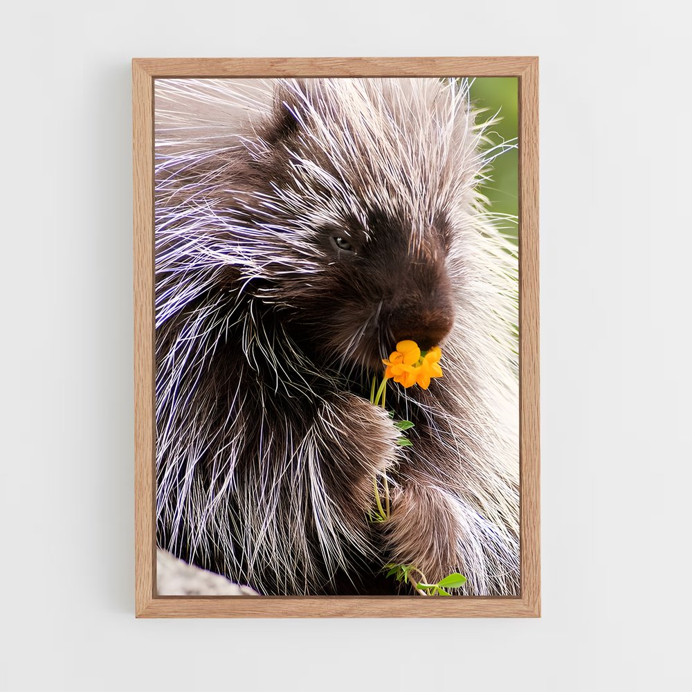 ap-porcupine-2 cadre Bois clair