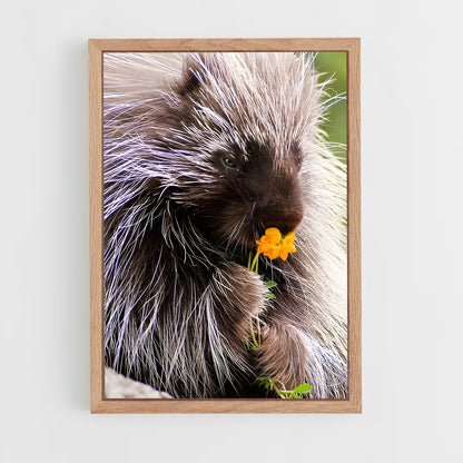 ap-porcupine-2 cadre Bois clair