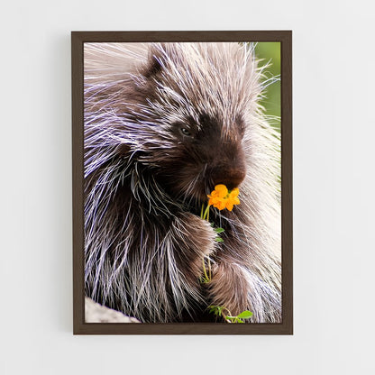 ap-porcupine-2 cadre Bois foncé