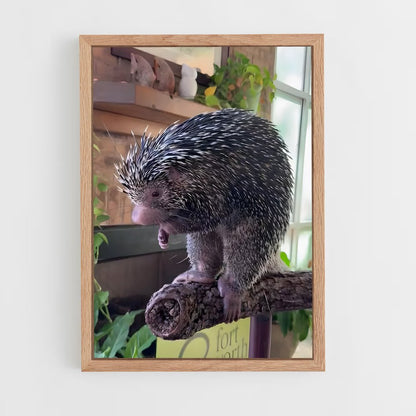 ap-porcupine-3 cadre Bois clair