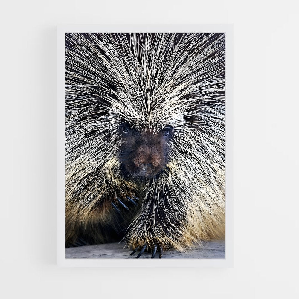 ap-porcupine-4 cadre Blanc