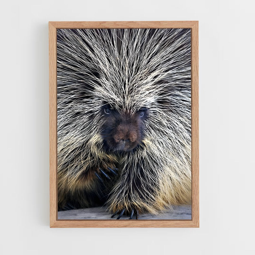 ap-porcupine-4 cadre Bois clair