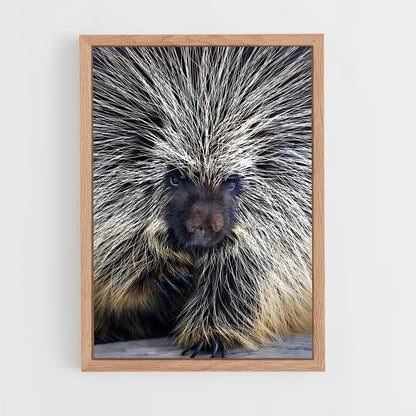 ap-porcupine-4 cadre Bois clair