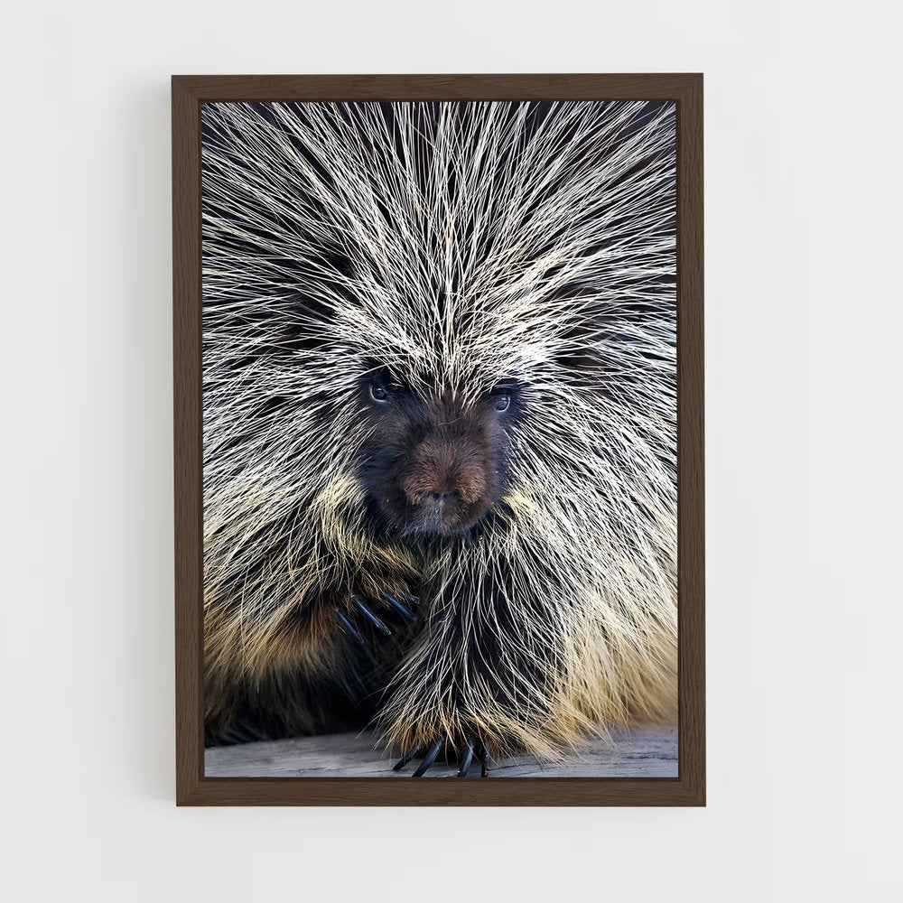 ap-porcupine-4 cadre Bois foncé