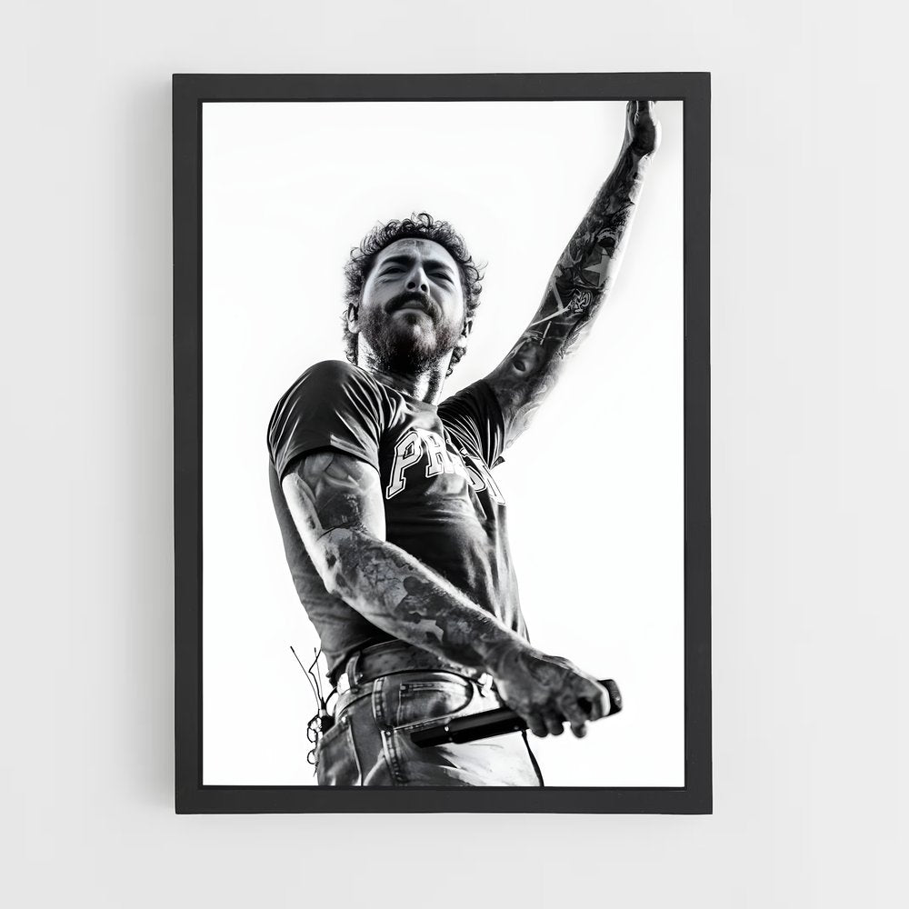 ap-post malone-10 cadre Noir