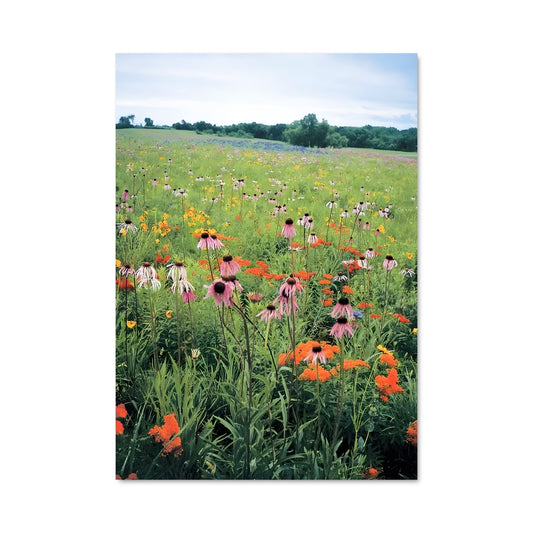 Poster Champ des Rêves