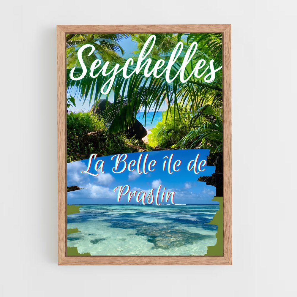 ap-praslin-1 cadre Bois clair