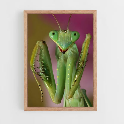 ap-praying mantis-2 cadre Bois clair
