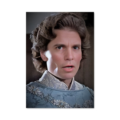 Poster Prince des Curls