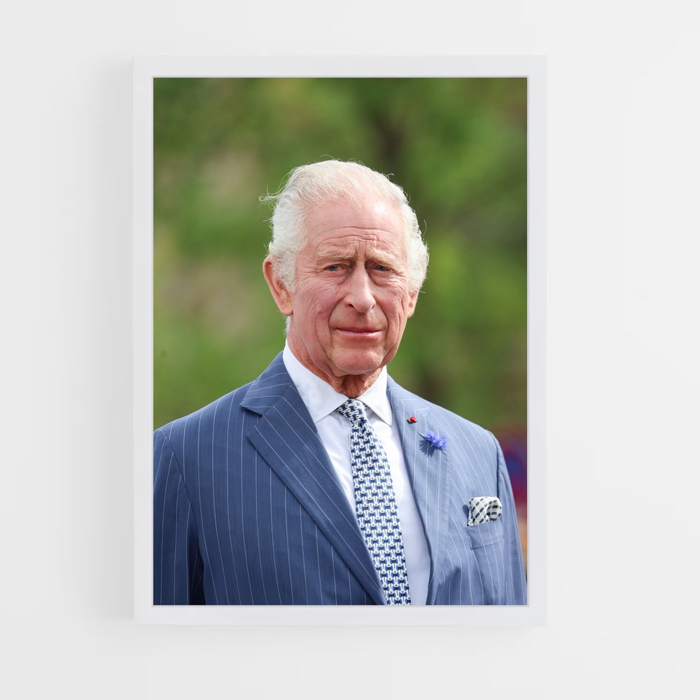 ap-prince harry-11 cadre Blanc