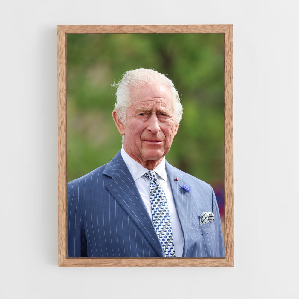 ap-prince harry-11 cadre Bois clair