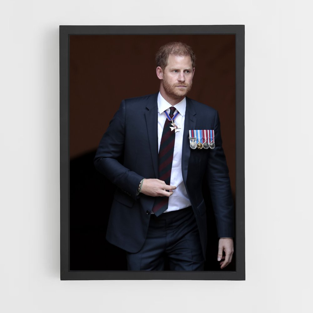 ap-prince harry-15 cadre Noir