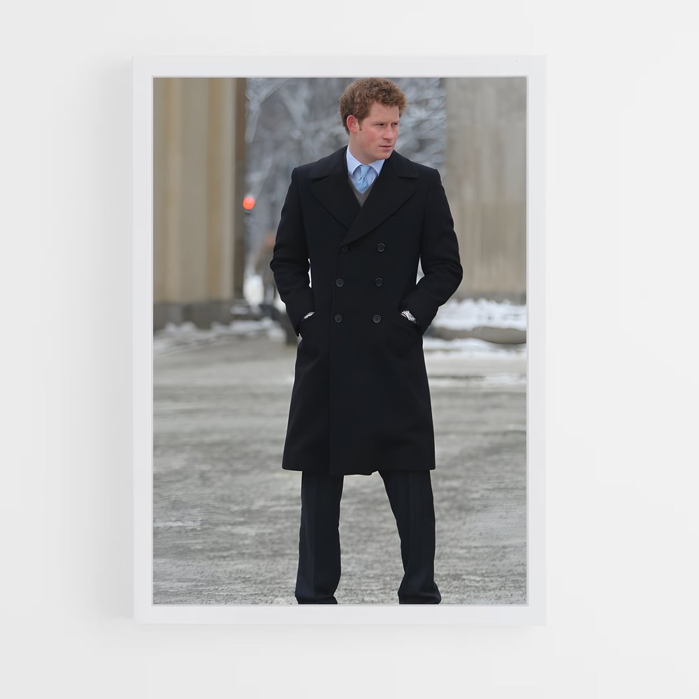 ap-prince harry-16 cadre Blanc